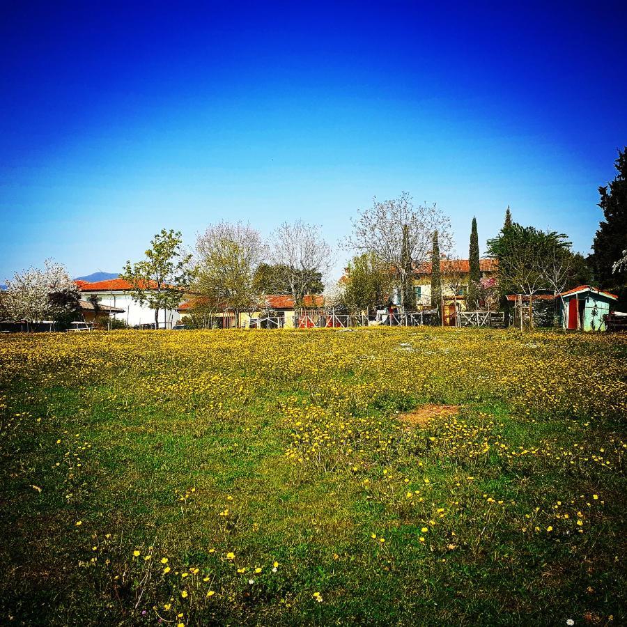 Cascina Corteprimavera, B&B Del Baliot Passirano Exterior photo