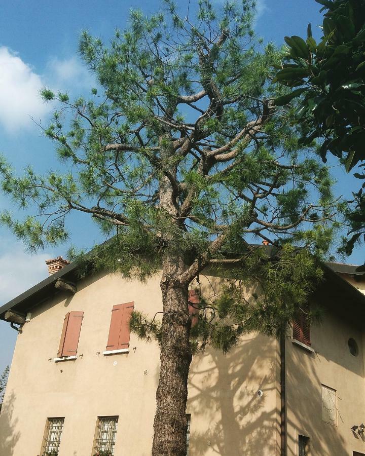 Cascina Corteprimavera, B&B Del Baliot Passirano Exterior photo